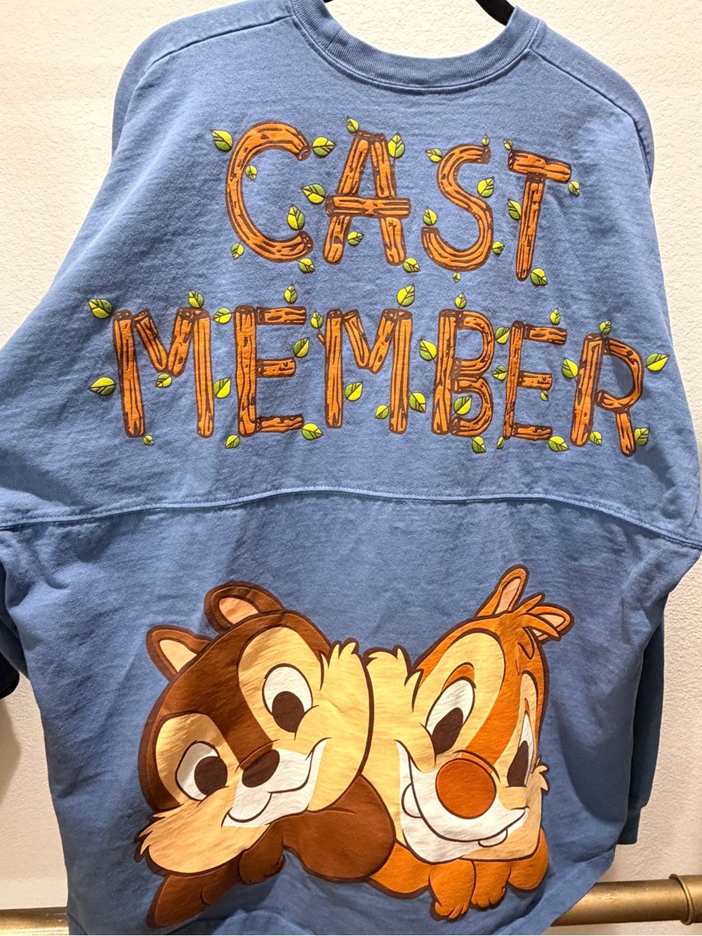 Disney Parks Cast Member Exclusive Chip & Dale Spirit Jersey – Size Large